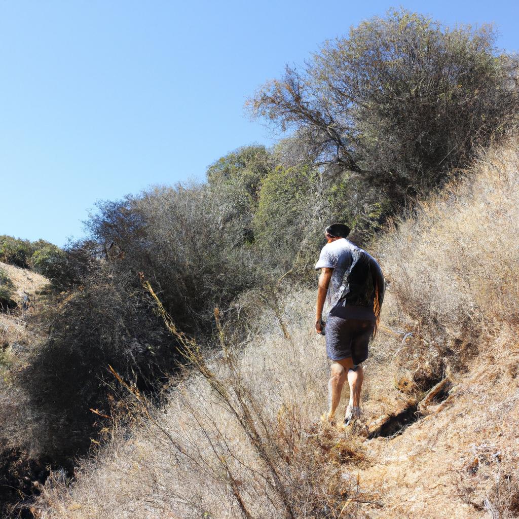 Person hiking in the wilderness